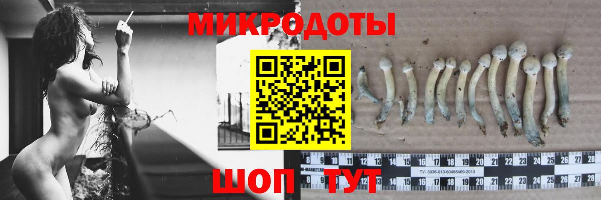 Псилоцибиновые грибы мицелий  Псилоцибиновые грибы Psilocybe  Усинск  Вход с VPN 